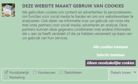voorbeeld van een cookie banner